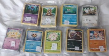 Lots de cartes pokemon