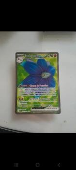 Carte pokemon nm