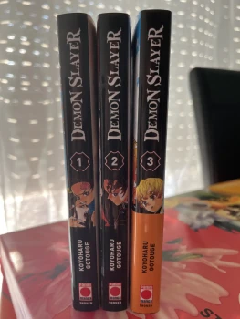 Demon slayer trois premiers tomes