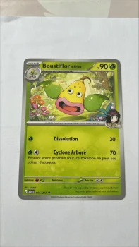 Boustiflor d'erika 5/217 Héros transcendants