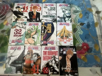 lots tomes bleach + character book