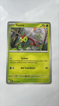 Yanma 2/182 Rivalités destinées