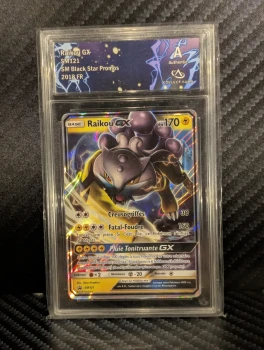 Raikou GX SM121 SM Black Star Promos 2018 FR CollectAura A