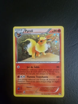 Pyroli holographique  2/12