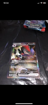 Zoroark EX de N