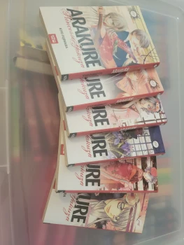 Manga Arakure princesse yakuza