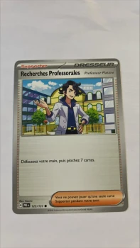 Recherches professorales (platane) 125/131 Evolutions prismatiques