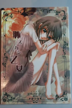 Bleach doujinshi (fanbook) Ichigo x Rukia