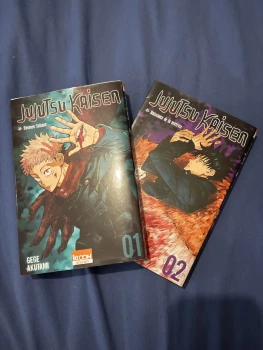 Jujutsu Kaisen 1 à 2
