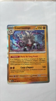 Courrousinge 92/182 Rivalités destinées