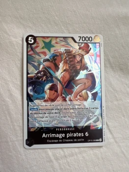 Arrimage pirates 6