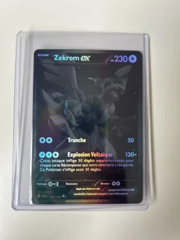 Zekrom ex blk 172