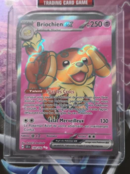 Briochien EX Couronne Stellaire 160/142