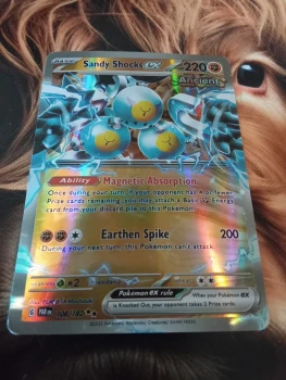 Je vends ses cartes Pokémon