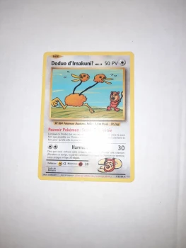 Doduo d'imakuni 2016