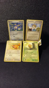 Lot de cartes Pokemon, EX : Rouge feu et Vert feuille