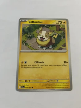 Voltoutou 30/94 flammes fantasmagorique