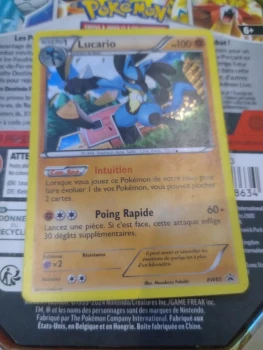 Lucario