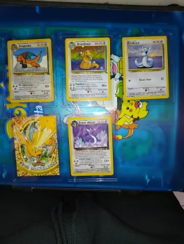 La famille de Dracolosse