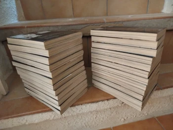 Darwin's Game tome 1-24