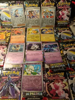 Carte pokémon