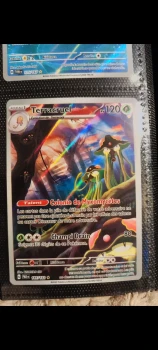 Terracruel AR