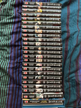 Intégrale Demon Slayer + 1 roman
