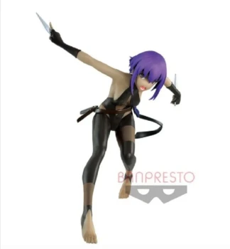 Figurine Fate Grand order Hassan of The serenity Servant Figure