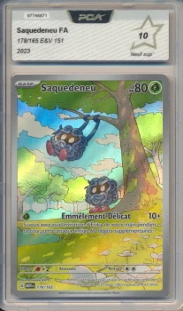 Saquedeneu - Pokemon (151)