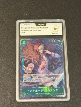 Donquixote Rosinante Parallel JP