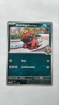 Grondogue de pepper 138/182 Rivalités destinées