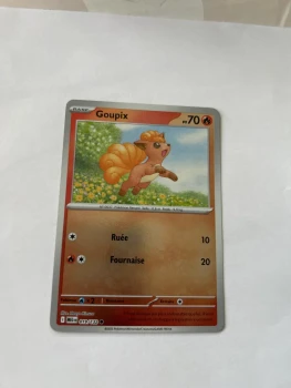 Goupix 19/132 Mega évolution