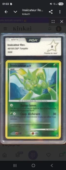 Insecateur reverse 49/100 DP tempete 2009
