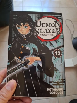 Demon Slayer 12