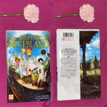 the promised neverland