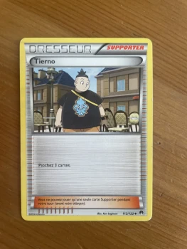 Pokémon Tierno