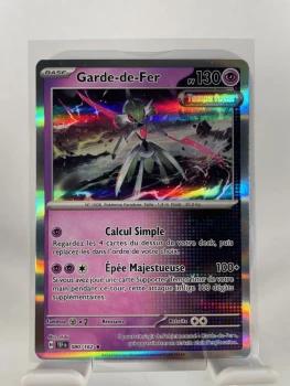 TEF 080 GARDE DE FER