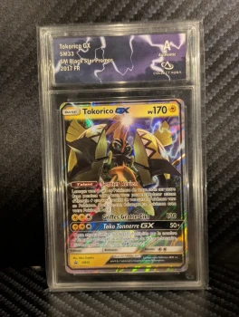 Tokorico GX SM33 SM Black Star Promos 2017 FR CollectAura A