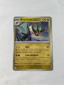 Bruyverne 157/217 Héros transcendants