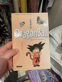 Dragonball Pastel Tome 1