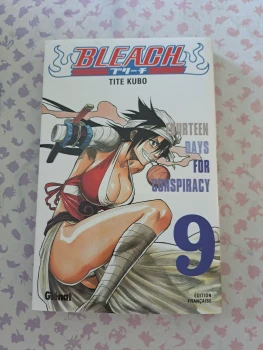 Bleach Tome 9