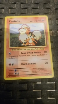 Carte pokemon caninos 17/108