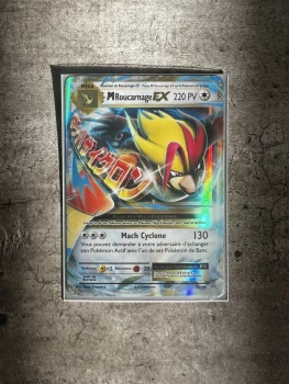Mega Roucarnage Ex 65/108