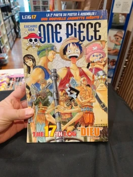 One piece log 17