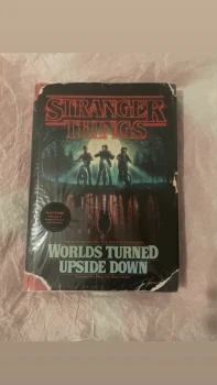 Worlds turned upside down - Stranger Things (anglais)