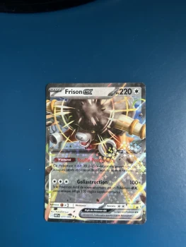 Pokémon Card Frison EX