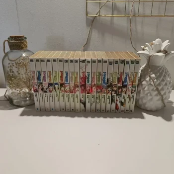 Manga negima tomes 1 à 19 + le 21