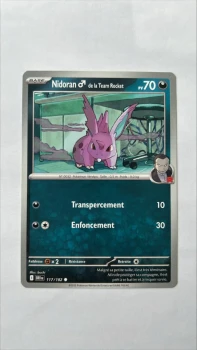 Nidoran 117/182 Rivalités destinées