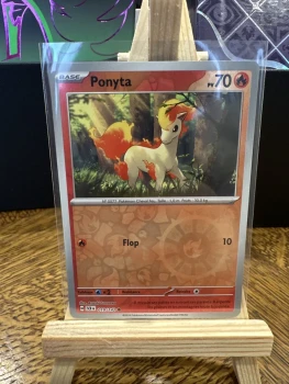 Ponyta FR