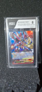 Carte gradée Meteokaiser Tribrut, SGS 8